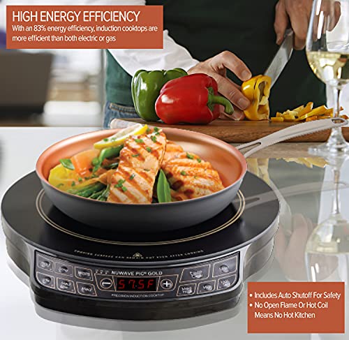 Precision Induction Cooktop, Portable Electric Countertop Burner with Large 8-Inch Heating Coil, Powerful Adjustable Heat Control