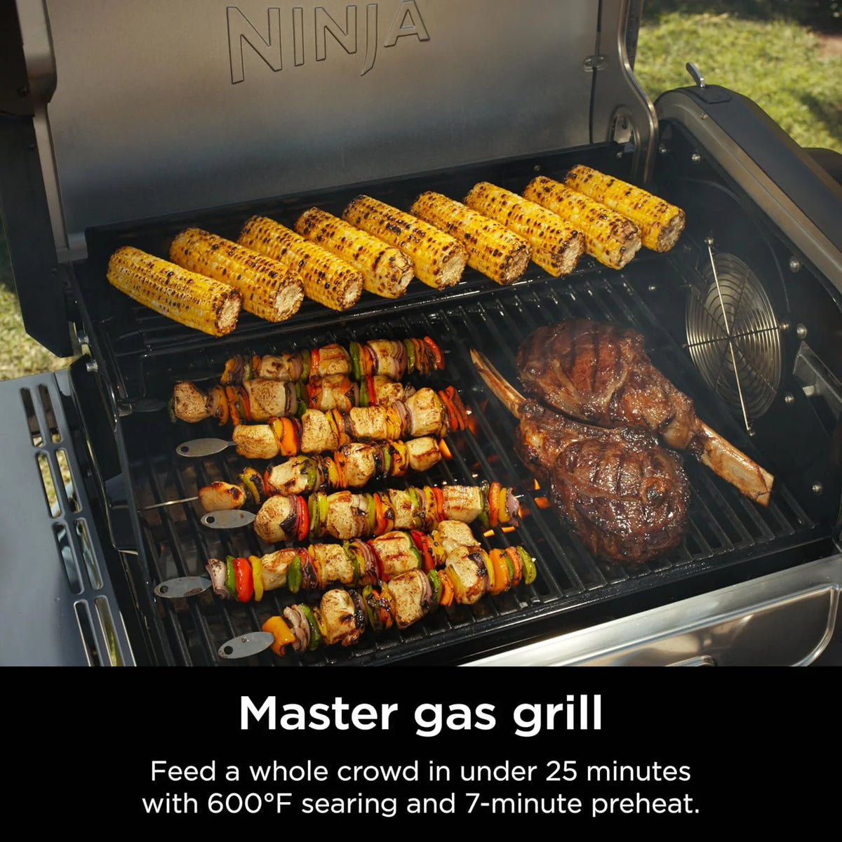 5-in-1 Electric and Propane Grill, 3-Burner Outdoor BBQ Grill and Smoker with Digital Controls, Griddle and Pizza Maker, Stainless Steel