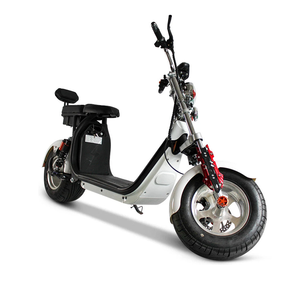 1500W Electric City Scooter, 40Ah Battery, 110 km Range, Road Homologated