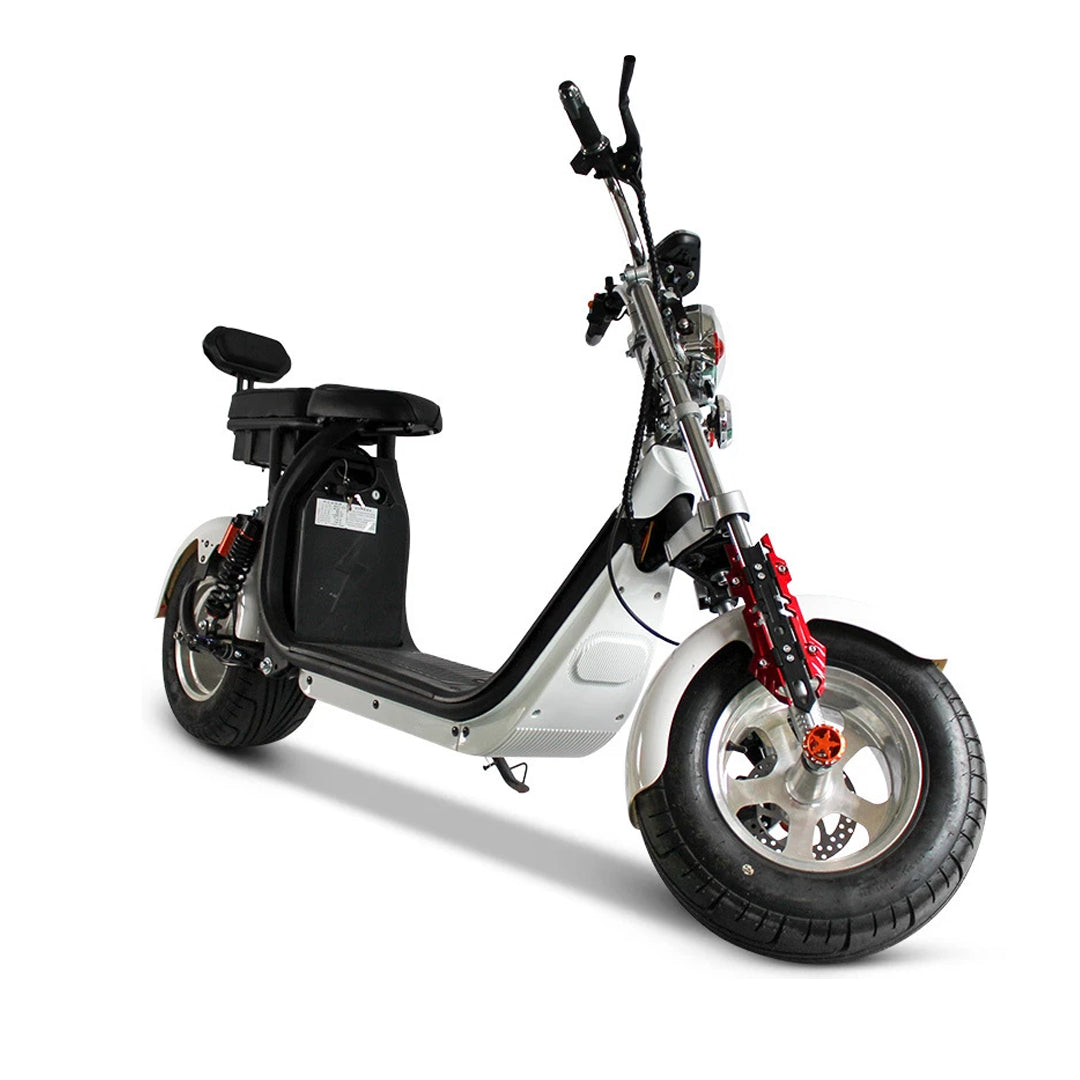 1500W Electric City Scooter, 40Ah Battery, 110 km Range, Road Homologated