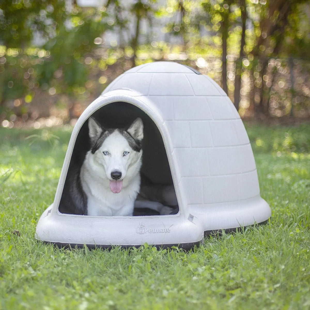 XL Igloo Dog House for 90–125 Lb. Dogs, All-Weather Pet Shelter, Made in USA