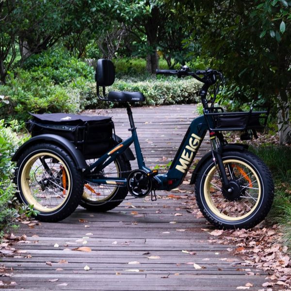 48V 14Ah 750W Foldable Fat Tire Electric Trike, 330-Lb. Capacity